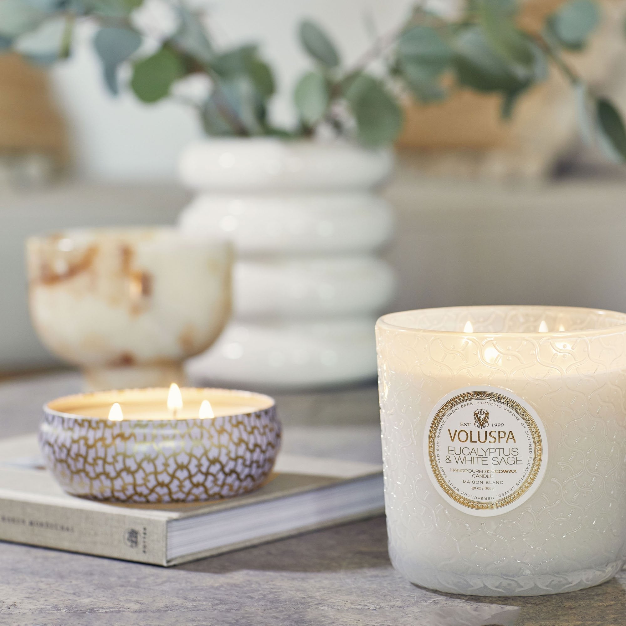 Eucalyptus & White Sage - Luxe Candle Secondary image