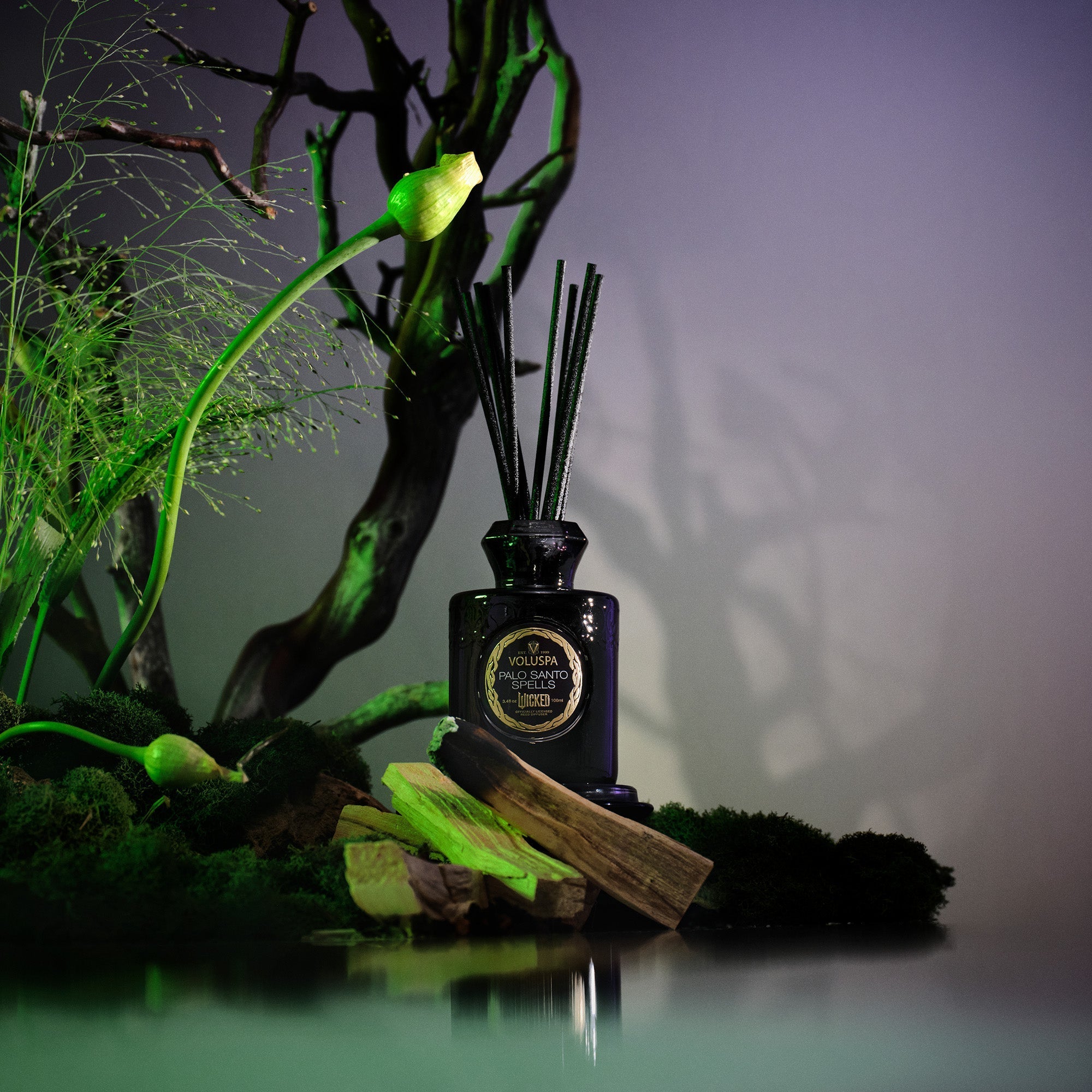 Palo Santo Spells - Reed Diffuser Secondary image