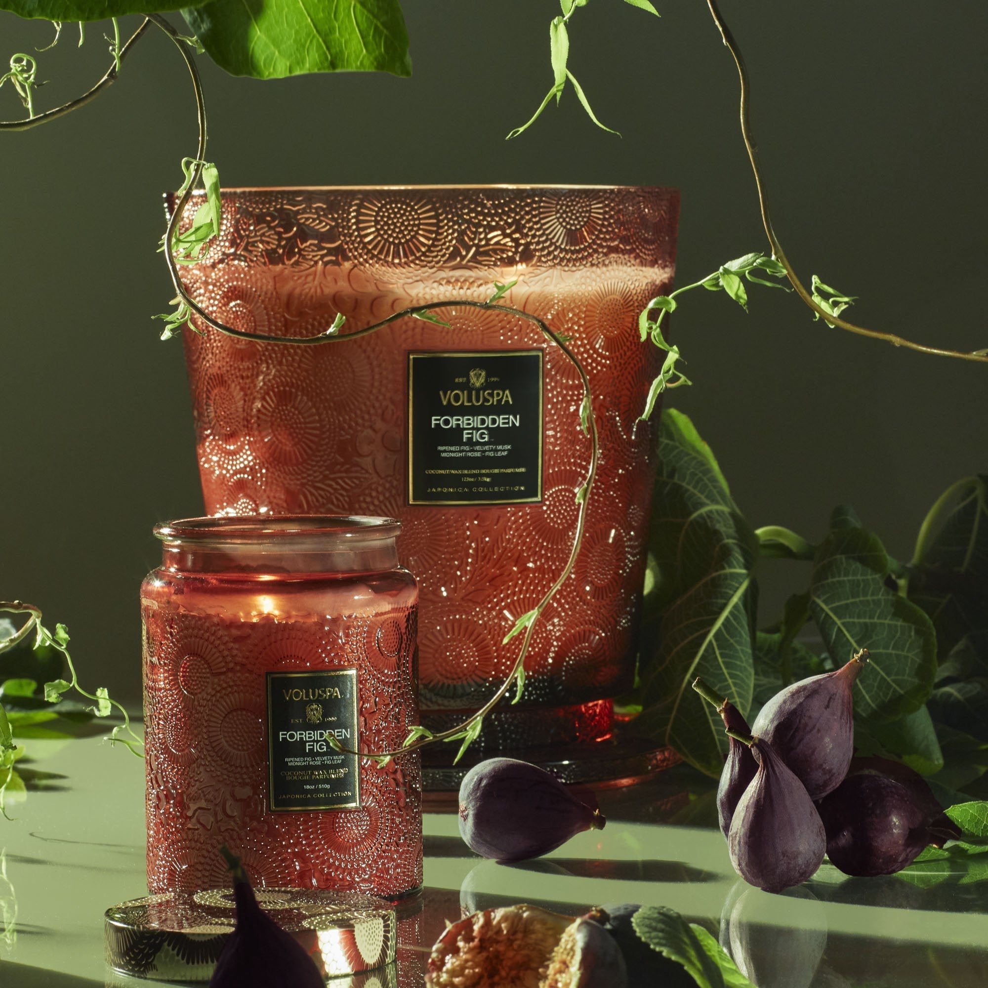 Forbidden Fig - 5 Wick Hearth Candle Secondary image