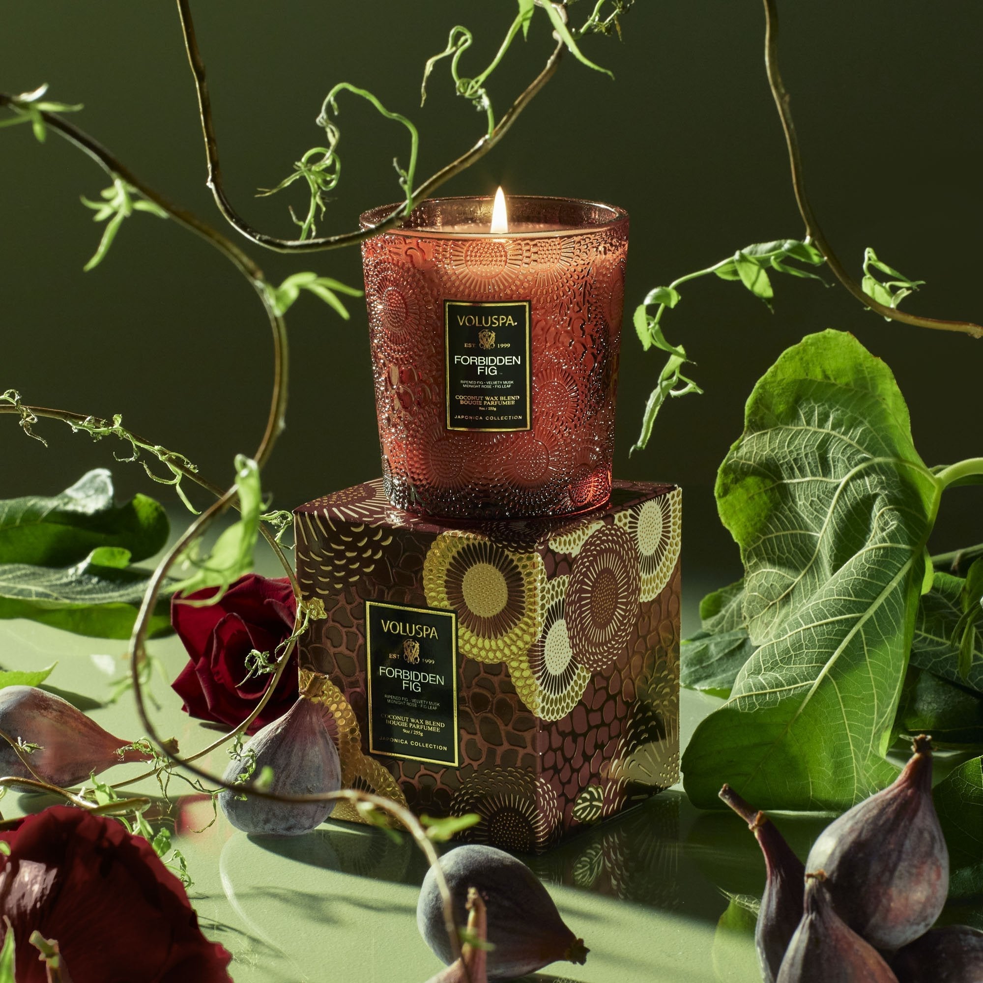 Forbidden Fig - Classic Candle Secondary image