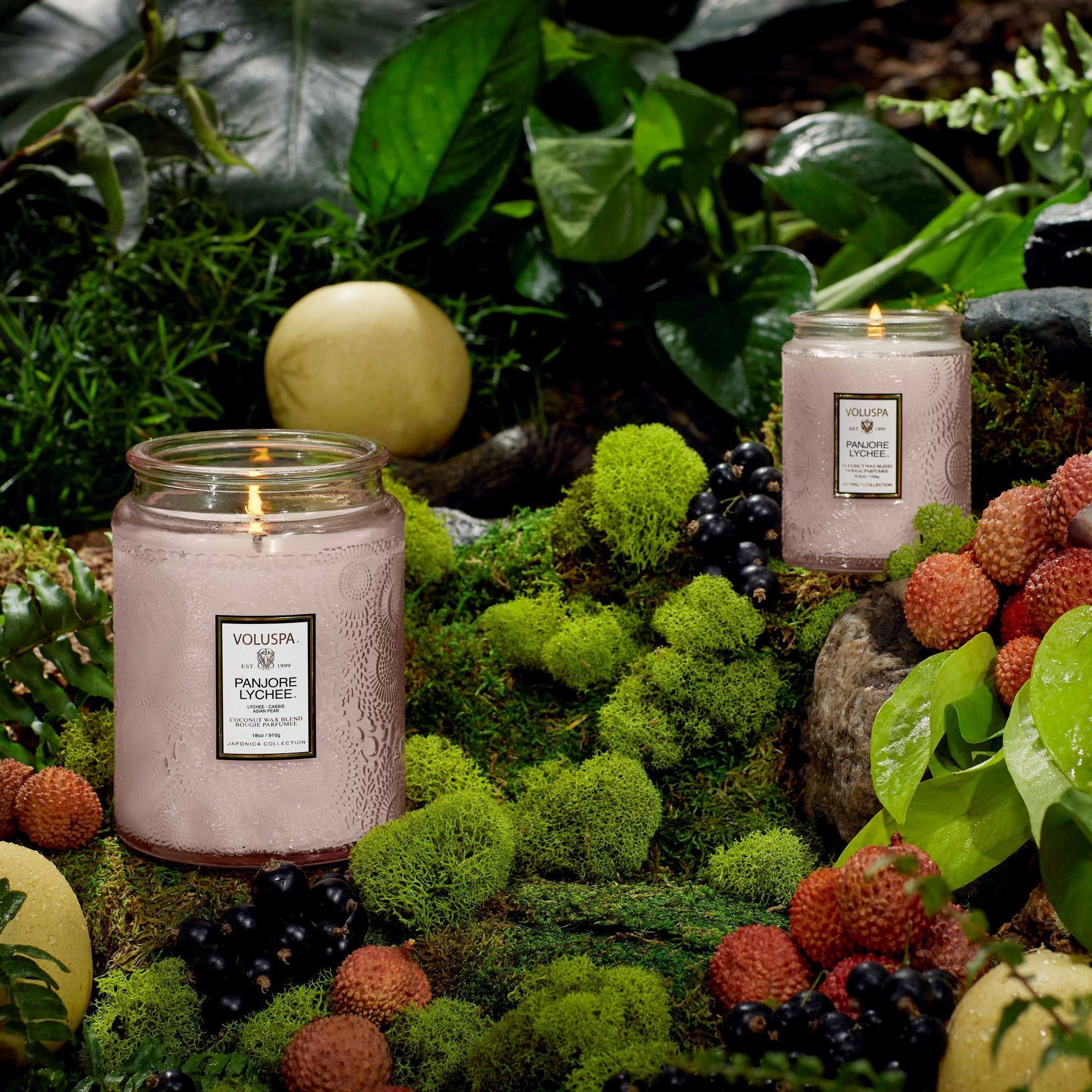Panjore Lychee - Large Jar Candle Secondary image