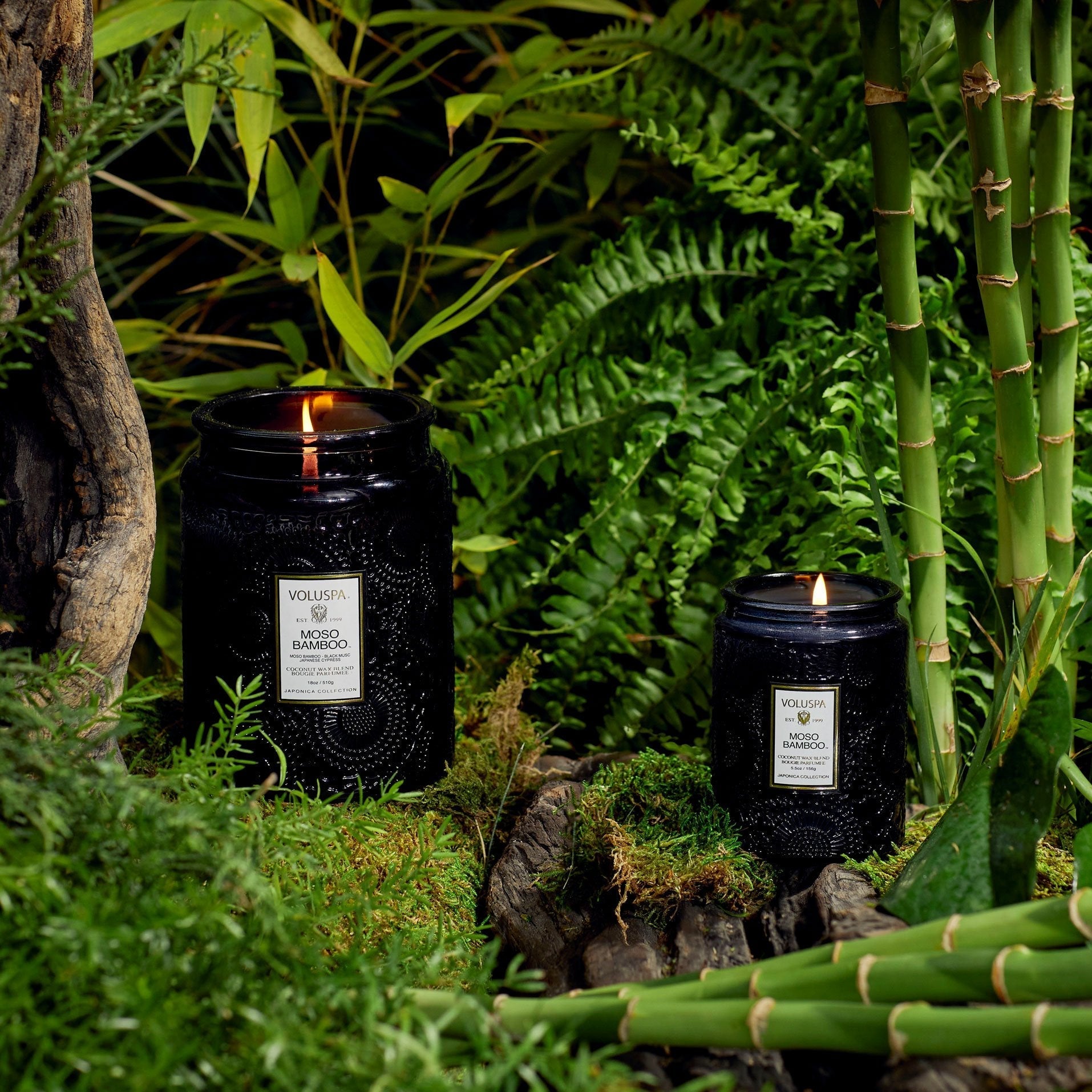 Moso Bamboo - Large Jar Candle Secondary image