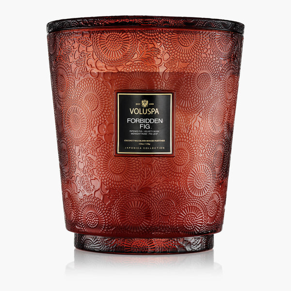 Forbidden Fig - 5 Wick Hearth Candle