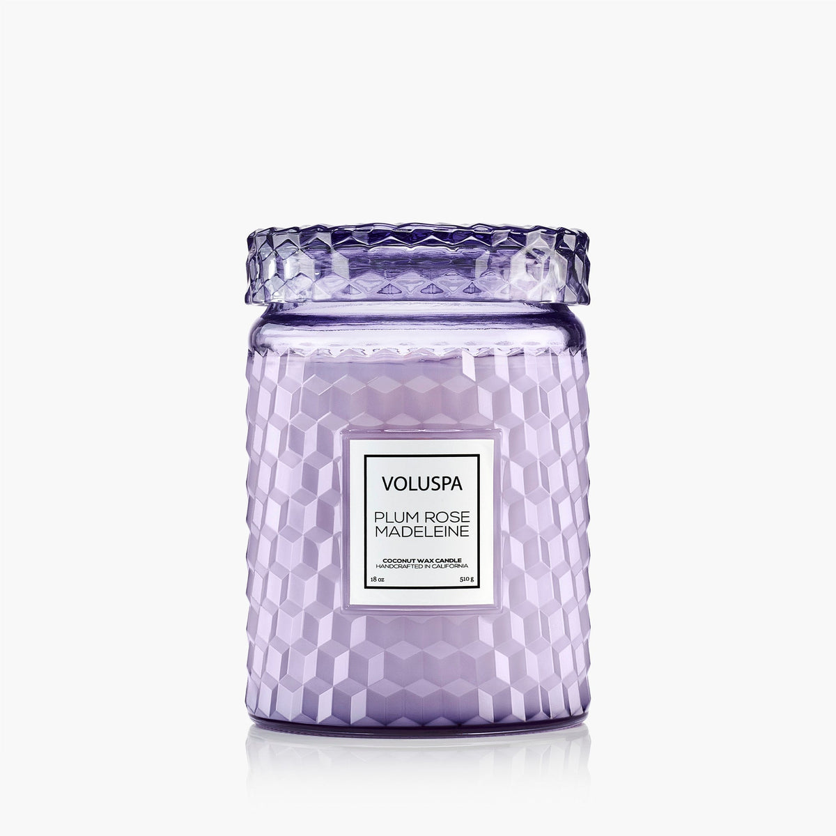 Plum Rose Madeleine - Large Jar Candle Main image