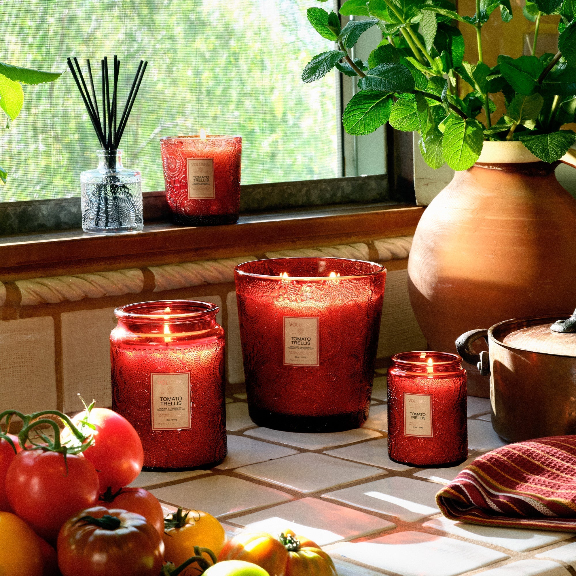 Tomato Trellis - 3 Wick Hearth Candle Secondary image