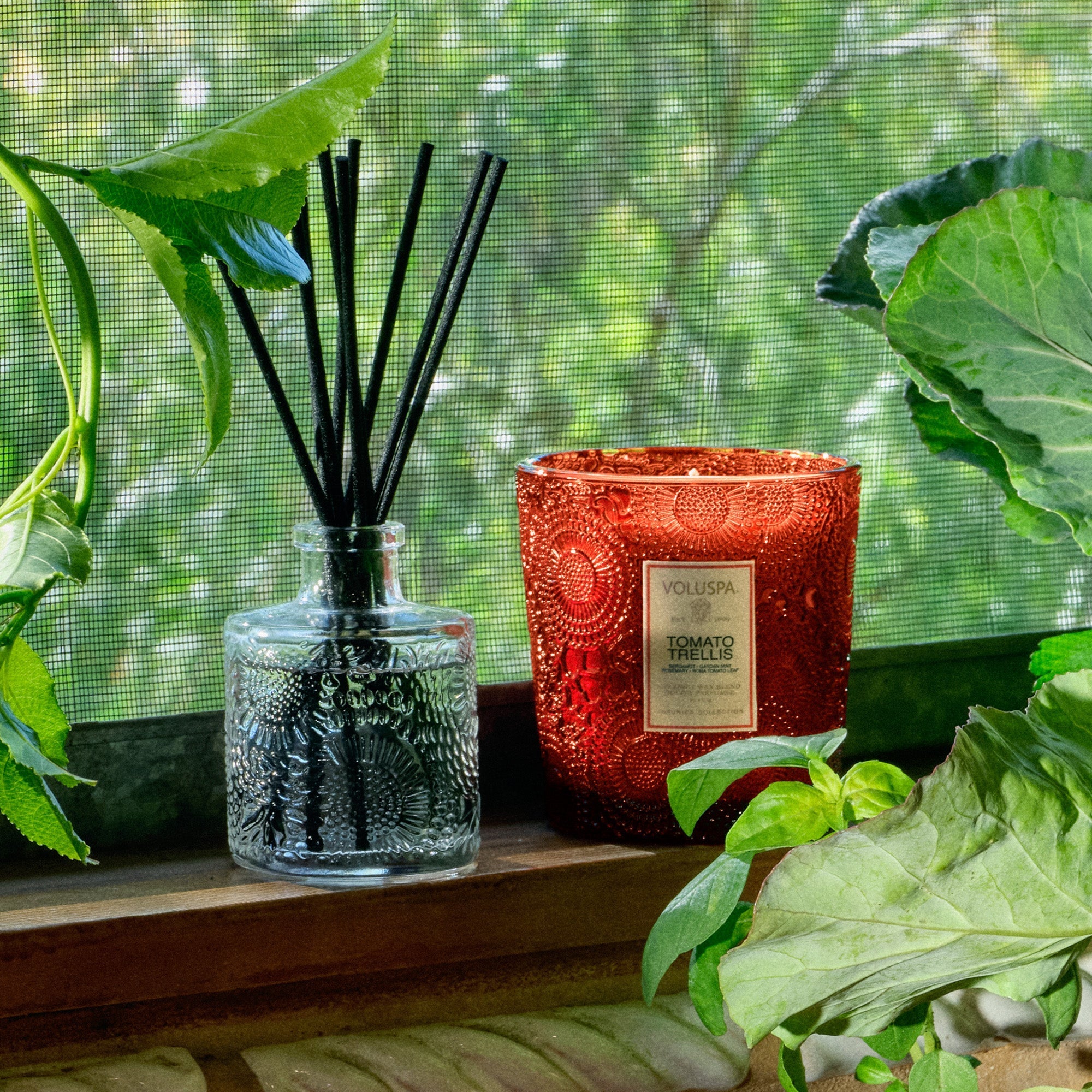 Tomato Trellis - Reed Diffuser Secondary image